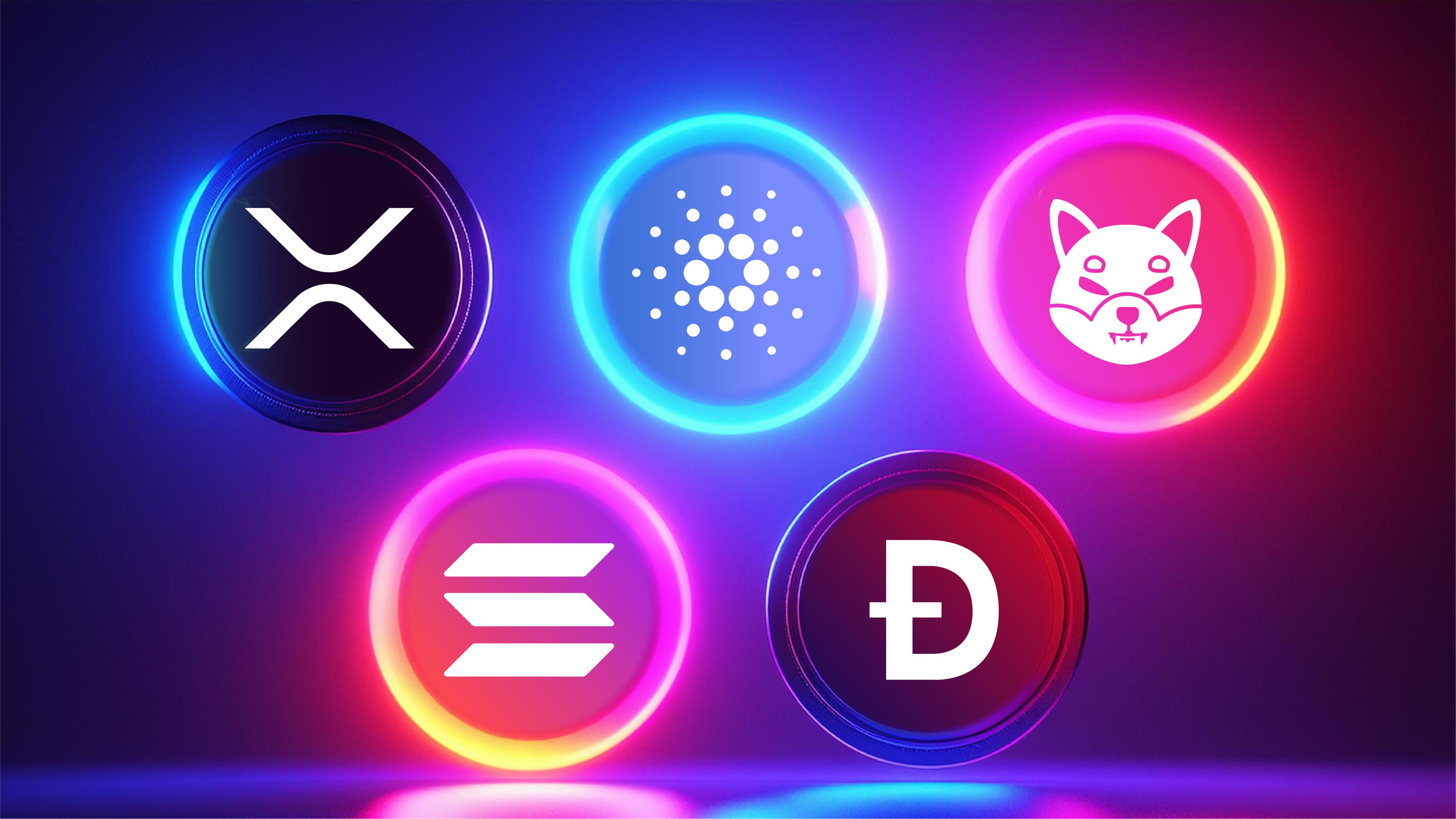 Polygon maintains robust network activity amid crypto market downturn