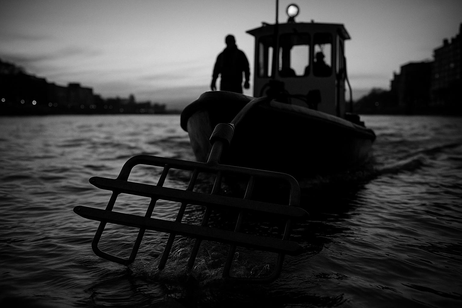 Boom-boat electrofishing records more than 10,000 fish on non-tidal Thames as heat leaves other rivers struggling