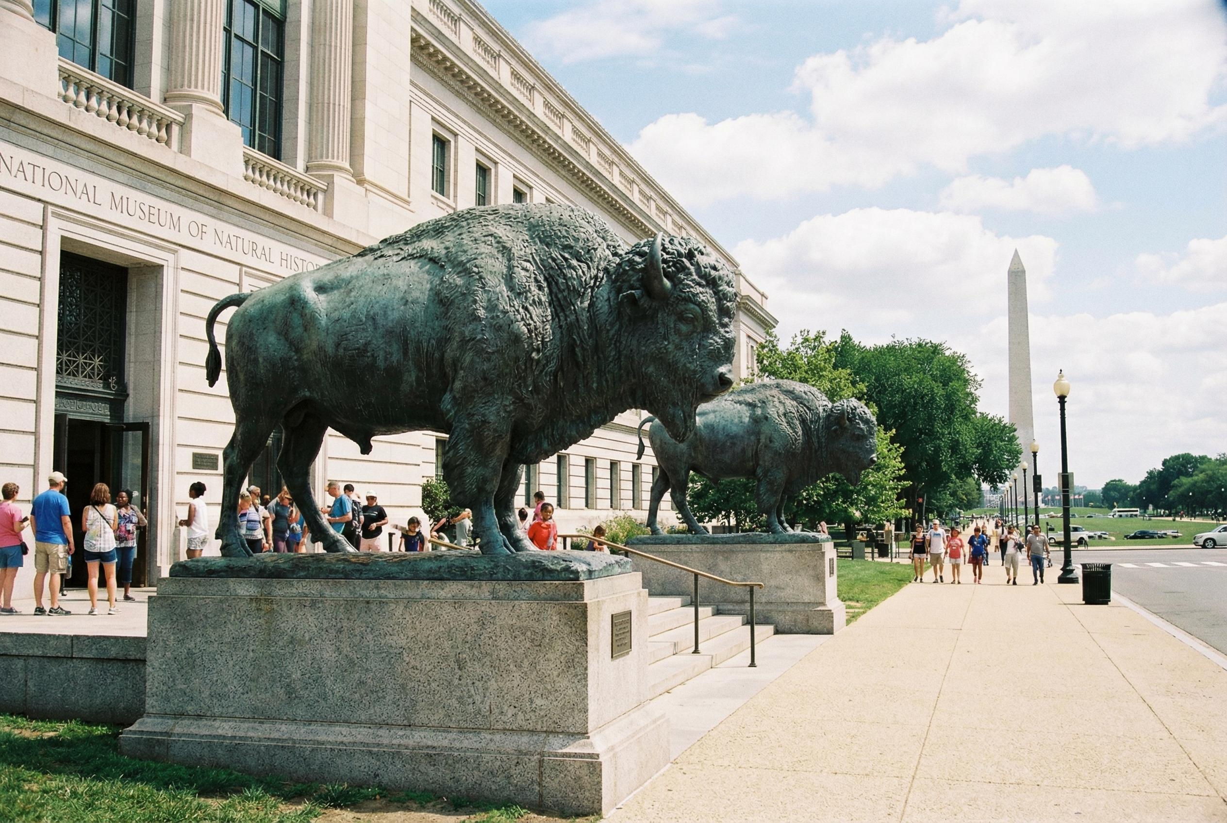 Best Things to Do in DC This Weekend: Cherry Blossoms, Films, Dance Parties