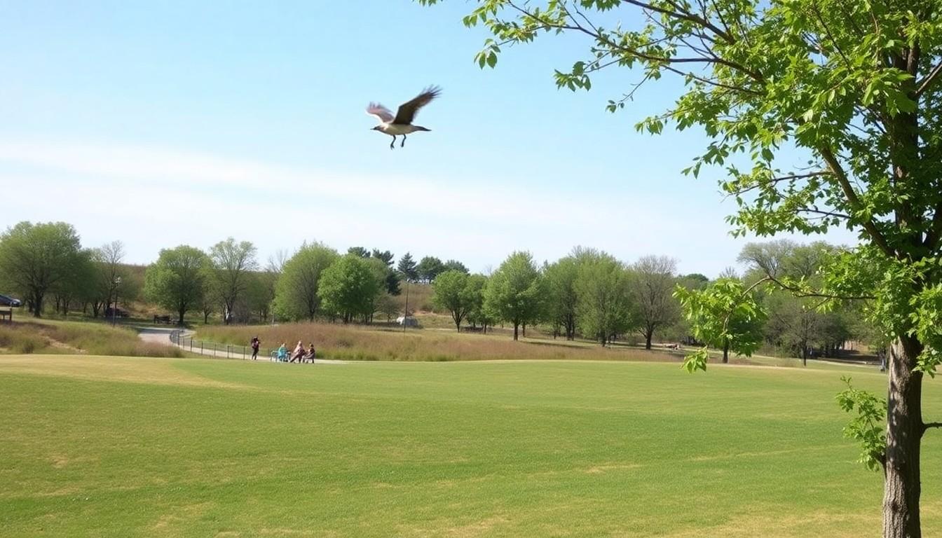 Best Pride Birding Walks: How Chicago BIPOC Birders Made Nature Feel Like Home
